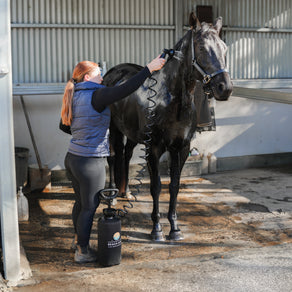 //www.beachsoul.co/cdn/shop/files/WK59_girl_washing_horse_head_square.jpg?v=1716167958&width=292