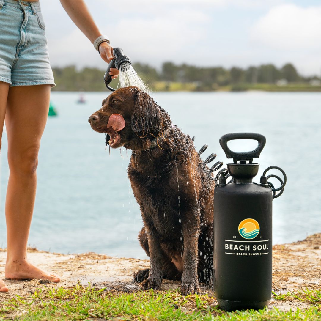 Easy To Use Portable Shower for Dogs Beach Soul Beach Soul